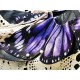 Yolanda Fleurs Avec Isabella Butterfly Collar(Reservation/15 Colours/Full Payment Without Shipping)